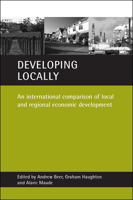 Throughout the developed world governments have invested substantial sums in local and regional economic development. This is the first book to provide a cross-national comparison and evaluation of regional development strategies, institutions and agencies.