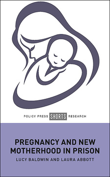 Pregnancy and New Motherhood in Prison